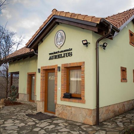 Vinařský pension André Velké Pavlovice Exterior foto