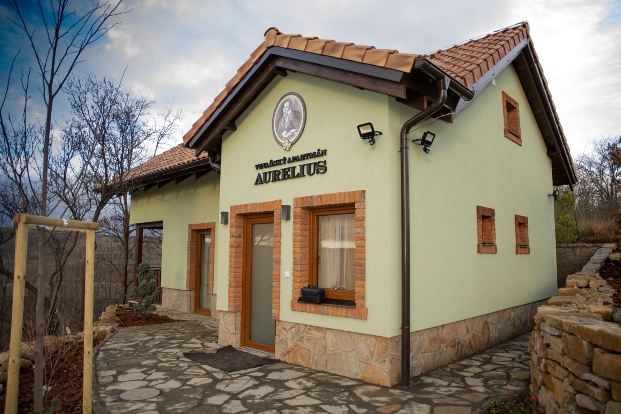Vinařský pension André Velké Pavlovice Exterior foto