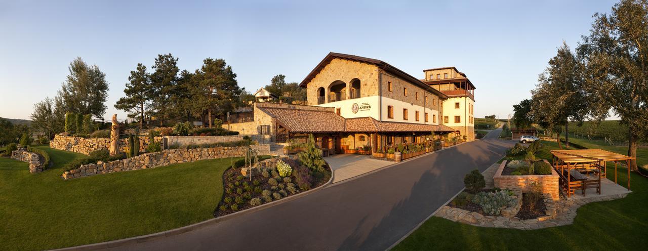 Vinařský pension André Velké Pavlovice Exterior foto